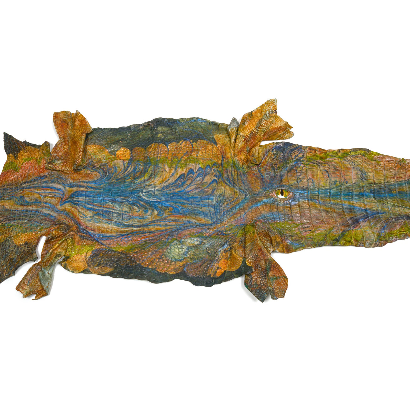 Real Alligator Hide Art