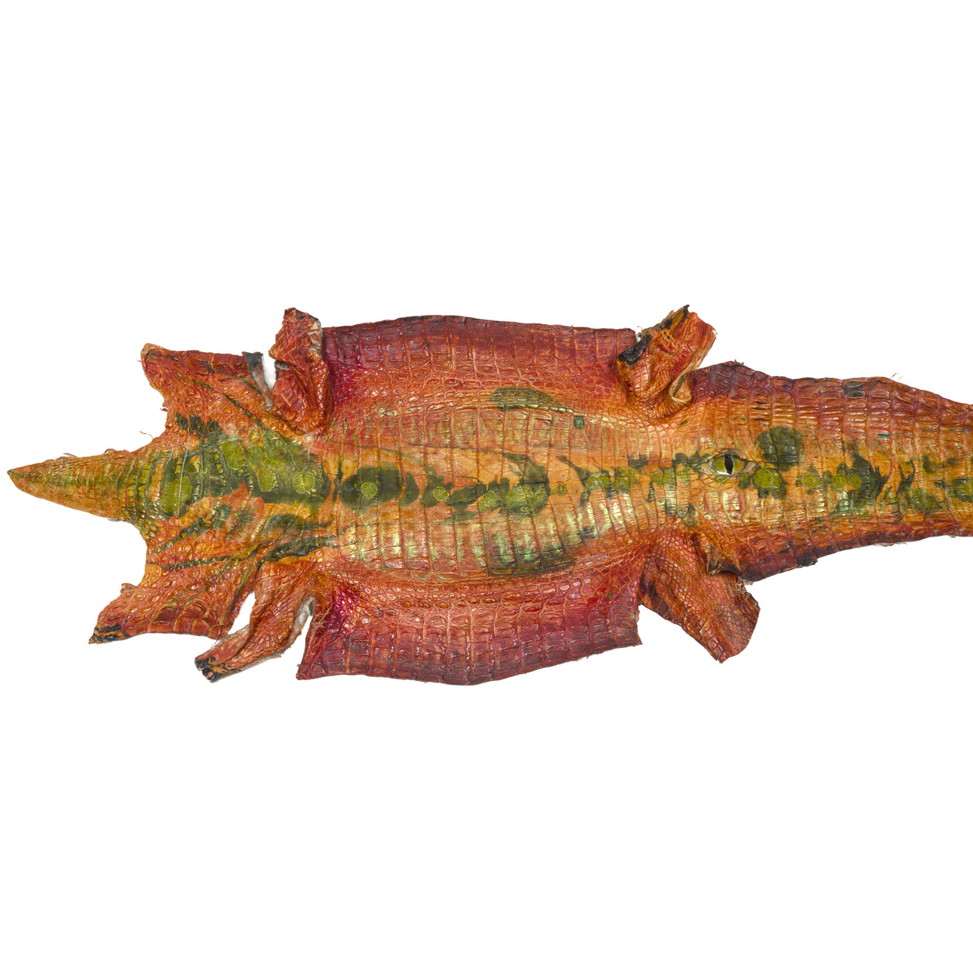 Alligator skin art