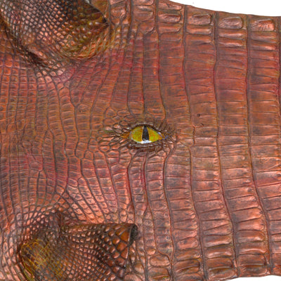 Alligator eye art