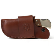 Buck 110 auto folding sheath