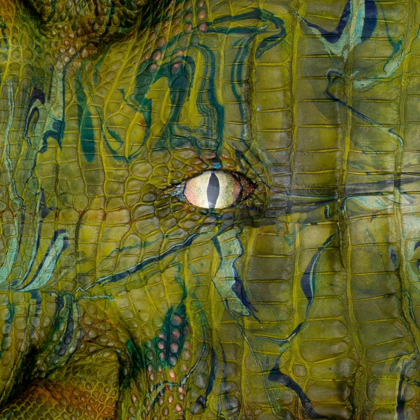 Alligator Eye #9