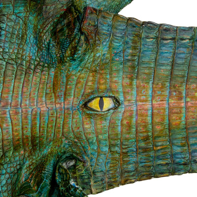 Alligator Eye #4