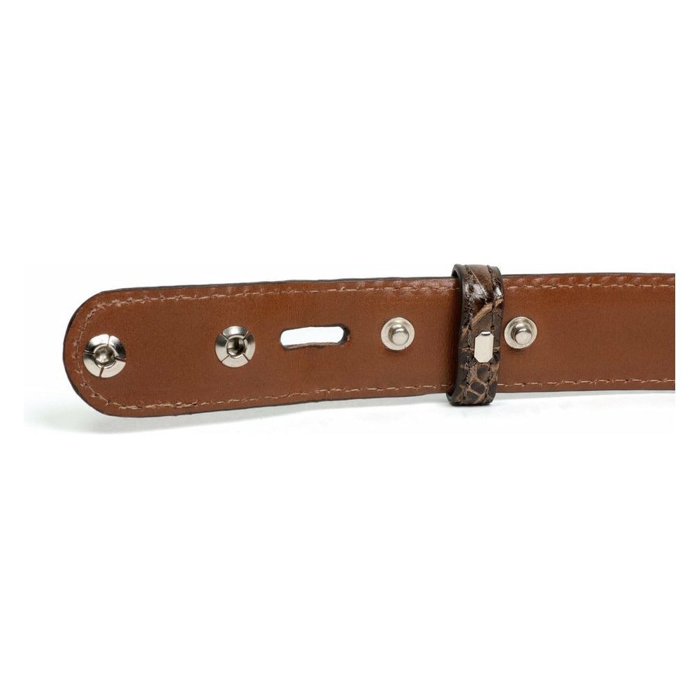 Brown alligator belt